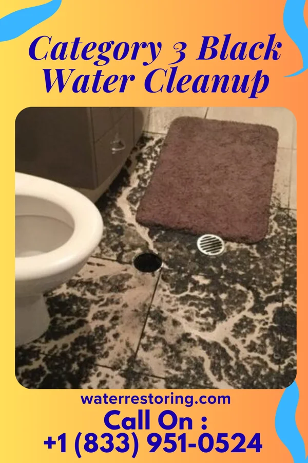 Category 3 Black Water Cleanup in Seaview, HI