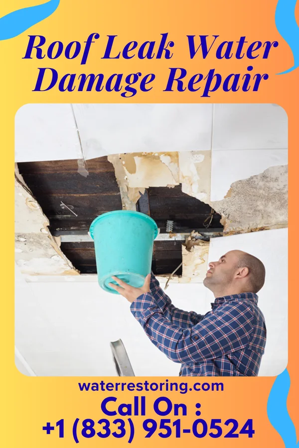 Roof Leak Water Damage Repair in Seaview, HI