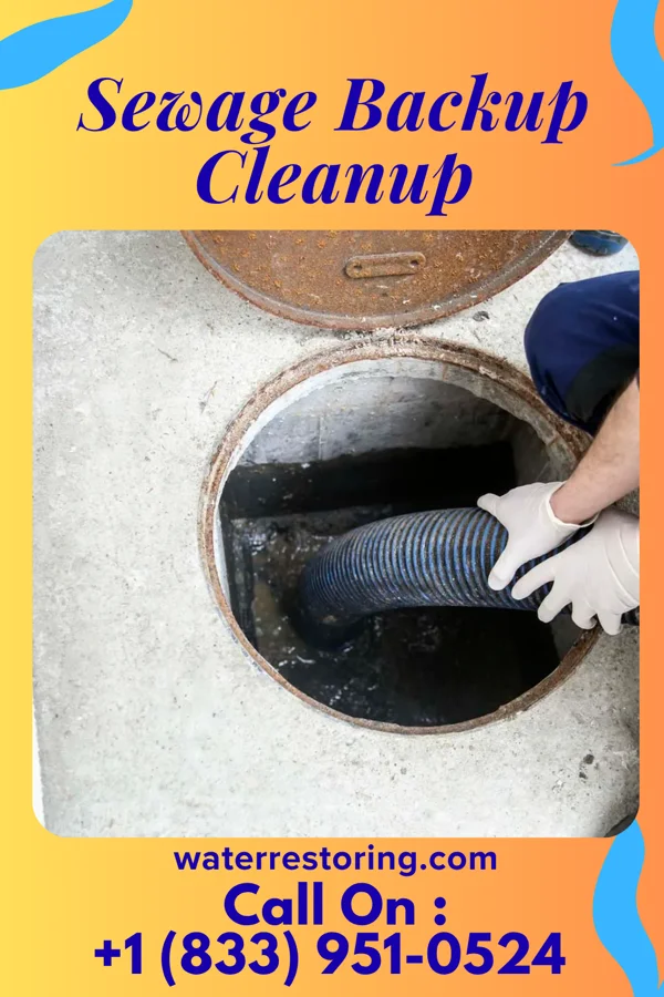 Sewage Backup Cleanup in Seaview, HI