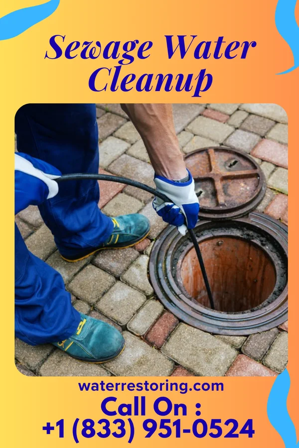 Sewage Water Cleanup in Seaview, HI